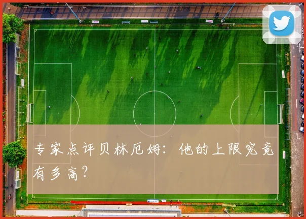 专家点评贝林厄姆：他的上限究竟有多高？